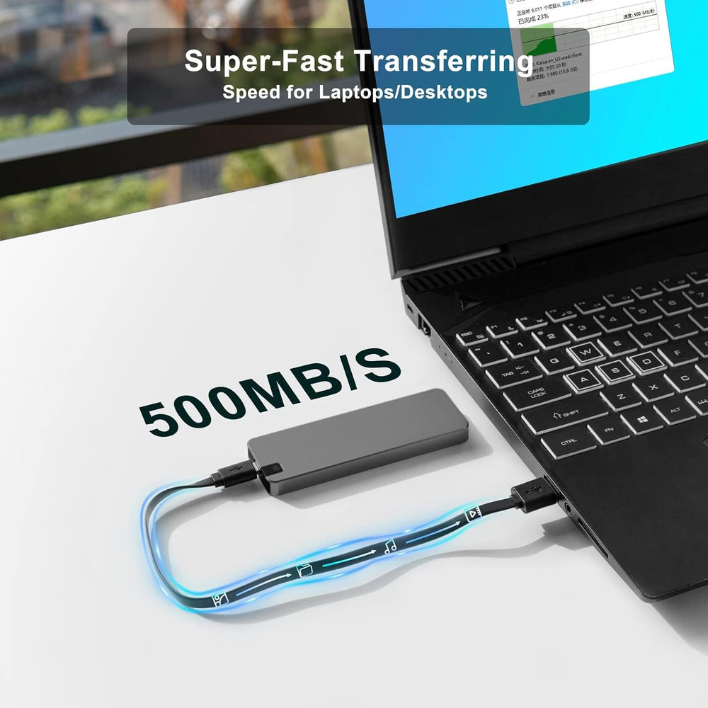 Disque externe – ssd portable type C – norme 3.2 Gen 1 jusqu'à 500 Mo/s ...